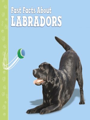 cover image of Fast Facts About Labradors